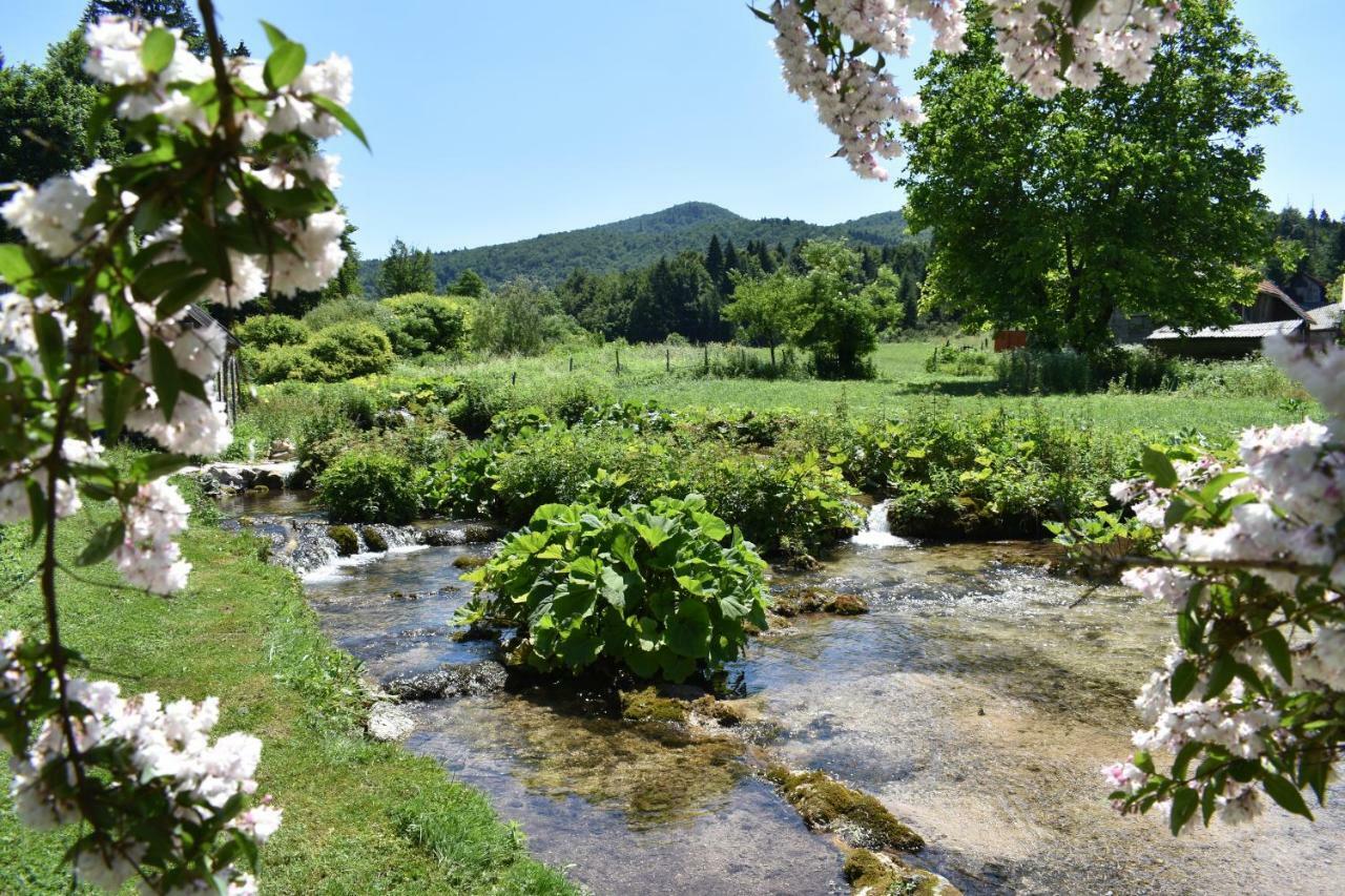 Gasthaus Plitvice Panta Rei Plitvička Jezera Exterior foto